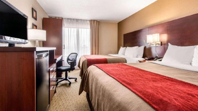 5-Day Eastern Canada Essentials Tour·Toronto, Montreal, Quebec City and Niagara Falls | YYZ Airport Pickup & Free Winter Hotel Upgrade