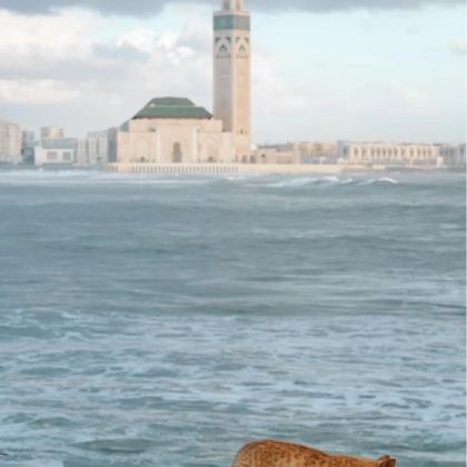 西班牙+葡萄牙+摩洛哥20日18晚拼小团