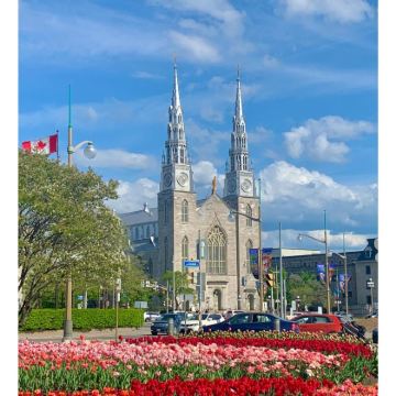 加拿大东西海岸+加拿大落基山脉+尼亚加拉瀑布13日跟团游