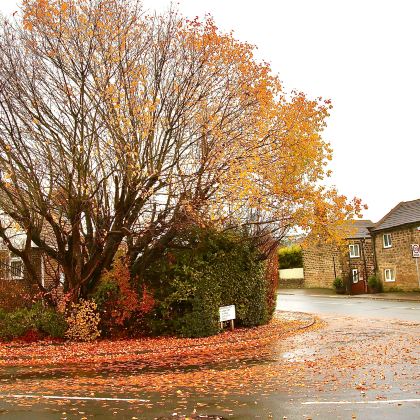 英国伦敦+牛津+剑桥+约克+科茨沃尔德+纽卡斯尔+温德米尔+利物浦10日9晚拼小团