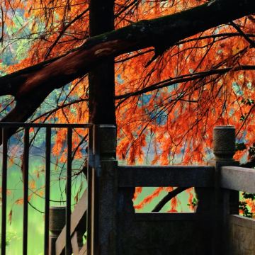 梅州+泮坑风景区+松口古镇2日1晚私家团