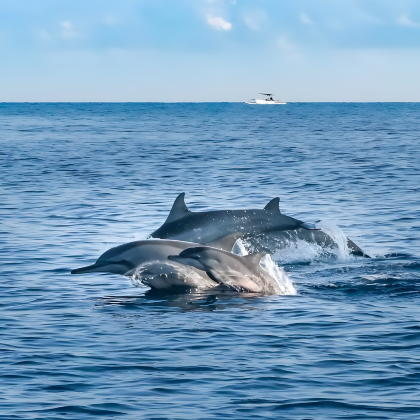 印度尼西亚巴厘岛6日5晚私家团