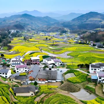 汉中+青木川古镇+紫柏山国家森林公园+张良庙+凤堰古梯田+中坝大峡谷+半亩茶园+勉县武侯祠博物馆6日5晚私家团