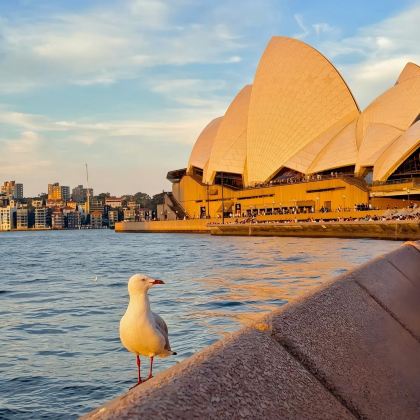 澳大利亚悉尼+蓝山国家公园+凯恩斯+大堡礁+库兰达+道格拉斯12日11晚自由行