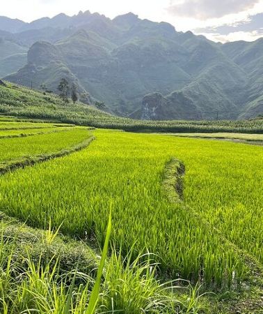 4D3N • 4D3N Ha Giang Loop with Yolo Ha Giang Adventures