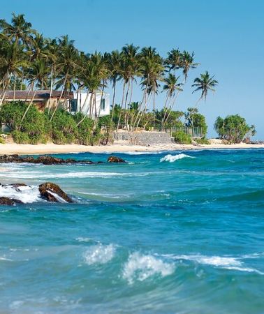 8D7N • 8-Day Sri Lanka Private Tour |Sigiriya, Kandy' Ella, Yala |Hotels