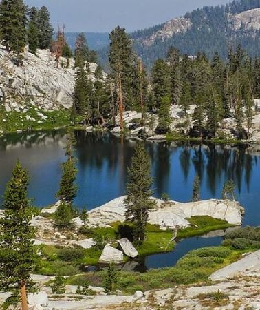 2D1N • Yosemite & Kings Canyon NP 2-Day Tour from LA