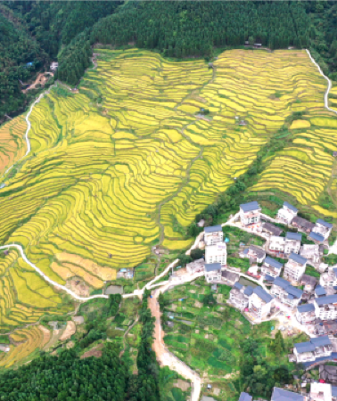 3日2晚 • 連州3天團 · 《季節限定~邂逅6大金秋美景》連南金瑤峰度假酒店(連住兩晚,唔使搬行李賞美景) 中國十大最美梯田「歐家金穗梯田」「石漠公園銀杏林」廣東十大最美瑤寨古村落「千年瑤寨」 「魚水風景區」