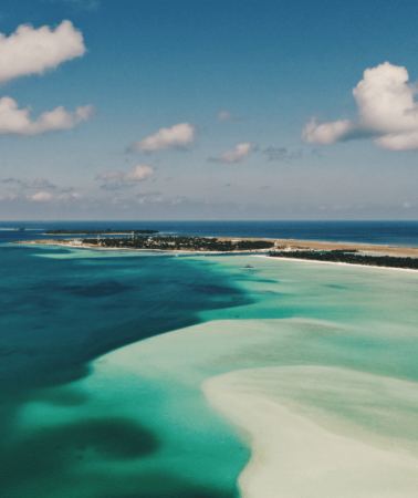 3D2N • Swim with Whale Sharks: Multi-Day Dhangethi Adventure
