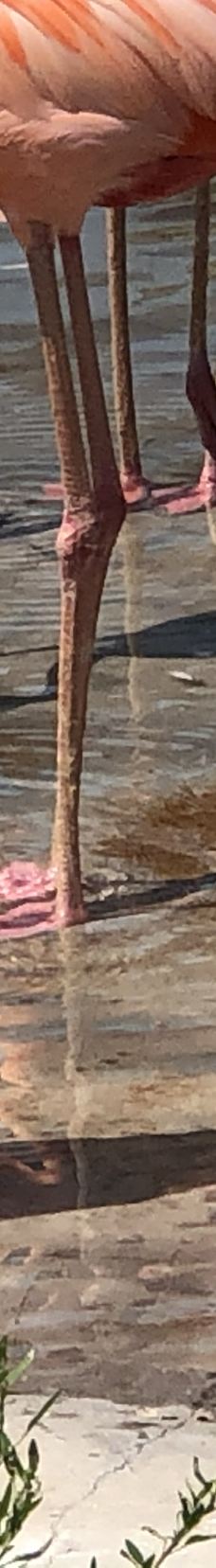 秦皇岛野生动物园-秦皇岛