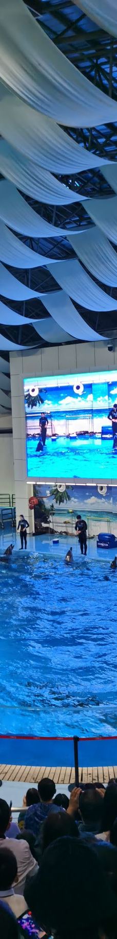 合肥海洋世界-合肥