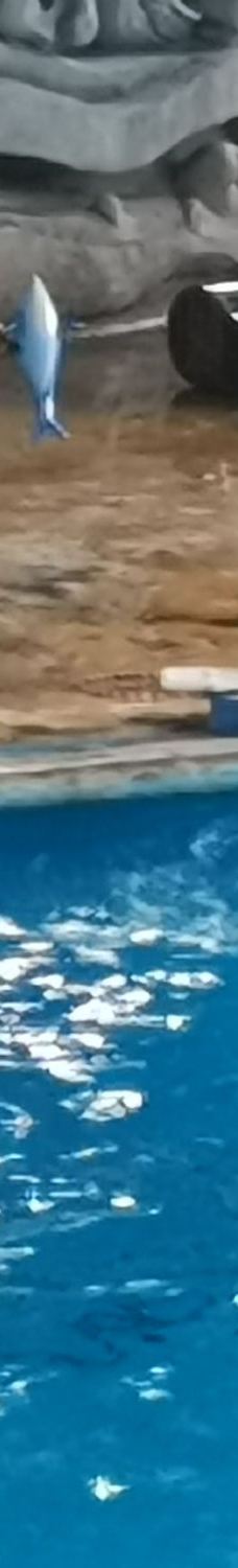 南宁动物园-南宁