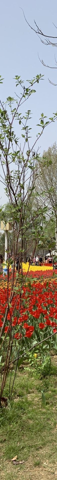 郑州中国绿化博览园-中牟