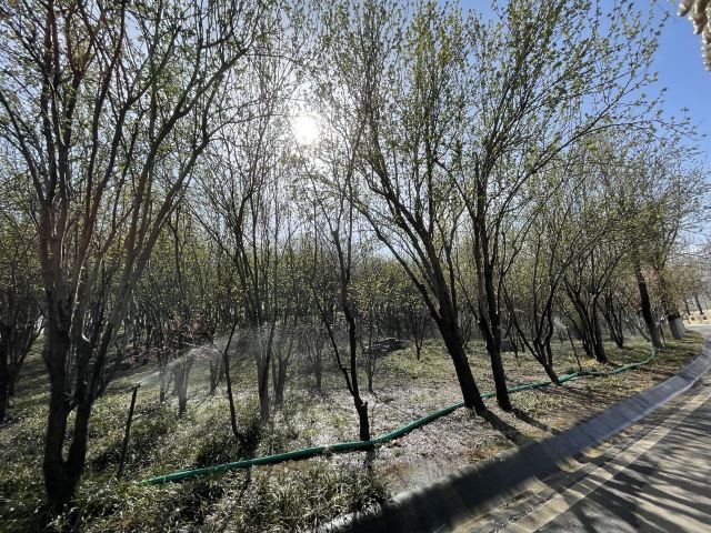 石家庄植物园旅行图片 2