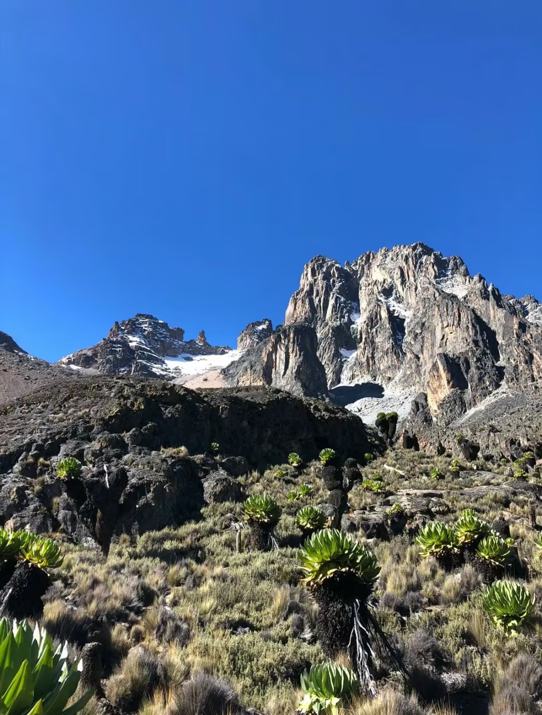 肯尼亚内罗毕 安博塞利 奈瓦沙 博戈里亚 纳库鲁 马赛马拉国家公园12