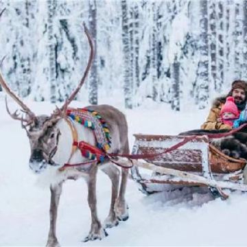芬兰+挪威9日8晚私家团