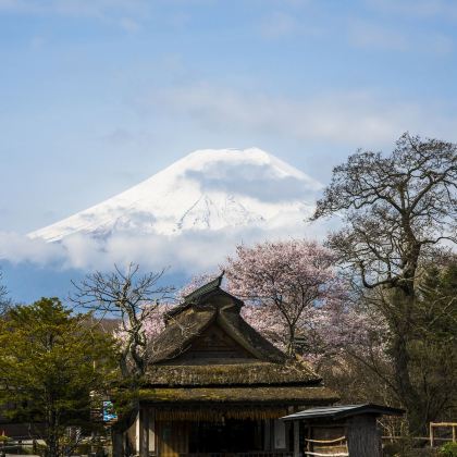 日本大阪府+京都府6日5晚跟团游