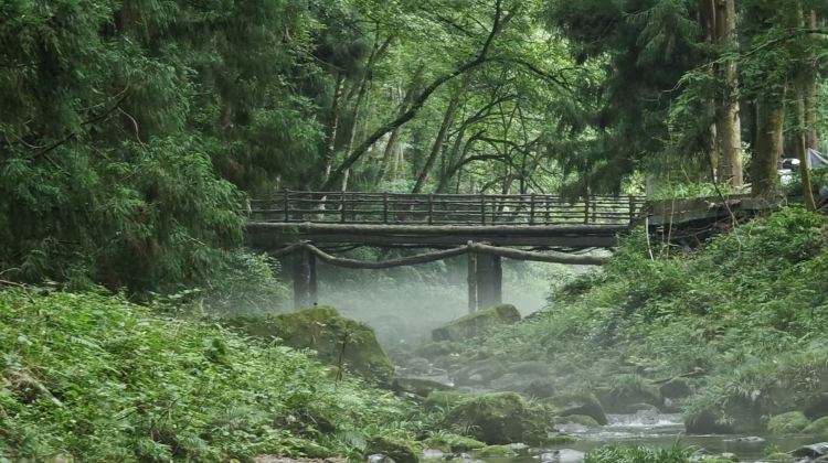 6D5N · Private Tours · Western Hunan All-Star Tour   Zhangjiajie Forest Park + Grand Canyon Glass Bridge + Tianmen Mountain + Furong Town + Fenghuang Ancient Town - A Cool Summer Getaway