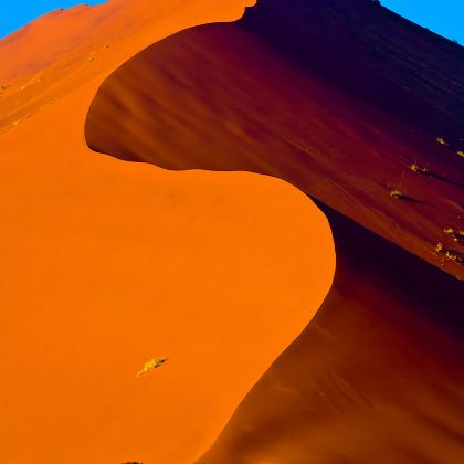 纳米比亚+津巴布韦+赞比亚+博茨瓦纳15日跟团游