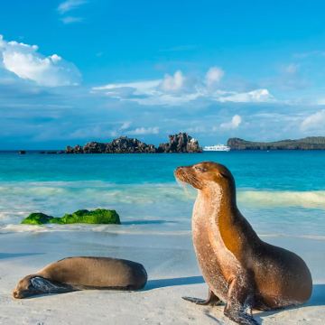 秘鲁+厄瓜多尔+哥伦比亚19日17晚私家团