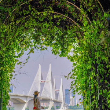 武汉+神农架+恩施市+长江三峡8日7晚跟团游