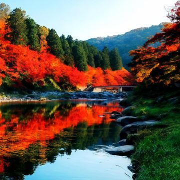 大阪+京都+名古屋+金泽+白川乡+岚山嵯峨野观光小火车+下吕温泉+高山阵屋11日10晚私家团