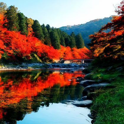 大阪+京都+名古屋+金泽+白川乡+岚山嵯峨野观光小火车+下吕温泉+高山阵屋11日10晚私家团