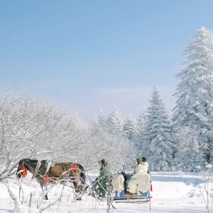 沈阳+长白山+延吉+哈尔滨6日5晚私家团