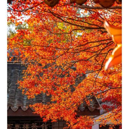 无锡+清名桥古运河景区+无锡市太湖鼋头渚风景区4日3晚私家团