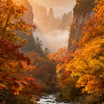 张家界+天门山4日3晚拼小团