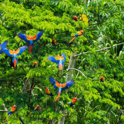 秘鲁8日7晚跟团游