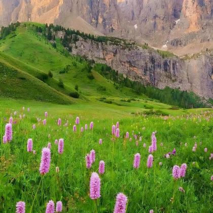 意大利+瑞士9日7晚私家团