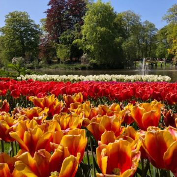 荷兰+比利时+法国+卢森堡+德国8日7晚私家团