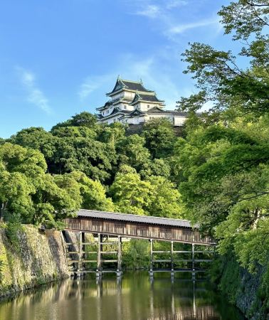 7D6N • Japan + Shirahama + Kushimoto + Nachikatsuura + Ise + Kyoto
