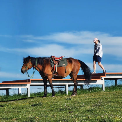 兰州+甘南+临夏市+阿坝县+若尔盖+玛曲10日9晚跟团游