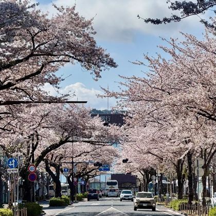 东京+富士山+日立市5日4晚跟团游