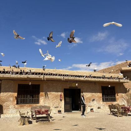 埃及开罗+锡瓦+马特鲁港5日4晚私家团