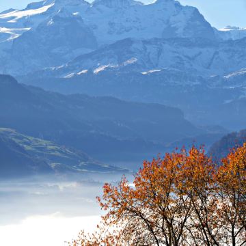 瑞士11日私家团