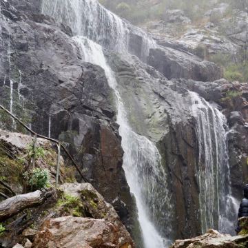 丹顿农山脉国家公园+普芬比利蒸汽火车+希尔斯维尔野生动物保护区+菲利普岛野生动物园+大洋路+格兰坪国家公园14日13晚拼小团