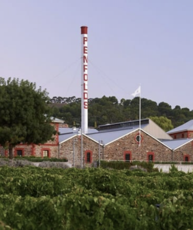 2D1N • Australia Adelaide Fleurieu Peninsula + Penfolds Magill Estate Cellar Door + Pink Lake