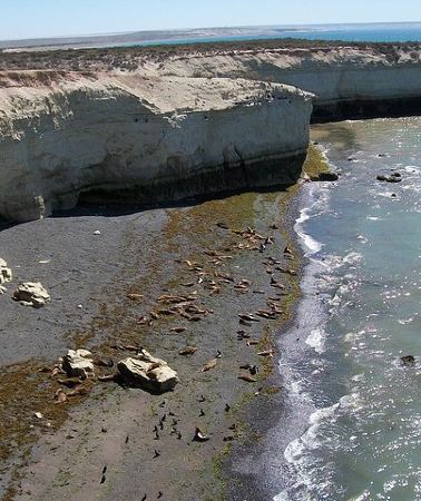 4D3N • 4-Day Tour to Puerto Madryn by Air from Buenos Aires