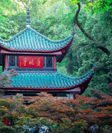 3D2N • 6-Person Group: Changsha + Orange Isle + Hunan Provincial Museum + Shaoshan