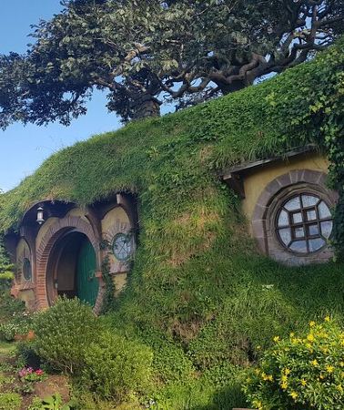 3D2N • 3 Day Hobbiton Rotorua Waiotapu Taupo and Waitomo Caves Tour