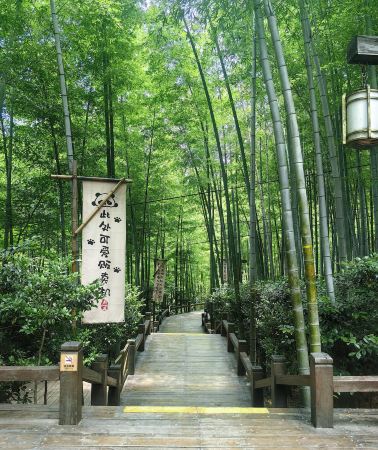 3D2N • Tianmu Lake Natural Scenery Park, Tianmu Lake Yushui Hot Spring and Tianmu Lake Nanshan Bamboo Sea Scenic Spot