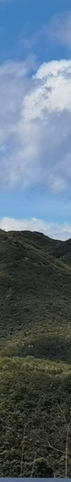 大围山国家森林公园-浏阳