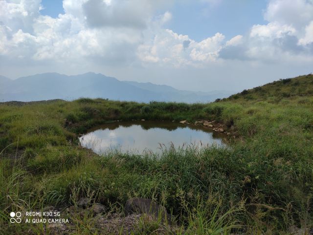 屏山悬索玻璃桥旅行图片 3
