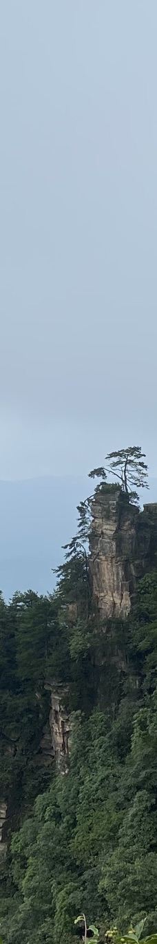 天子山索道-张家界