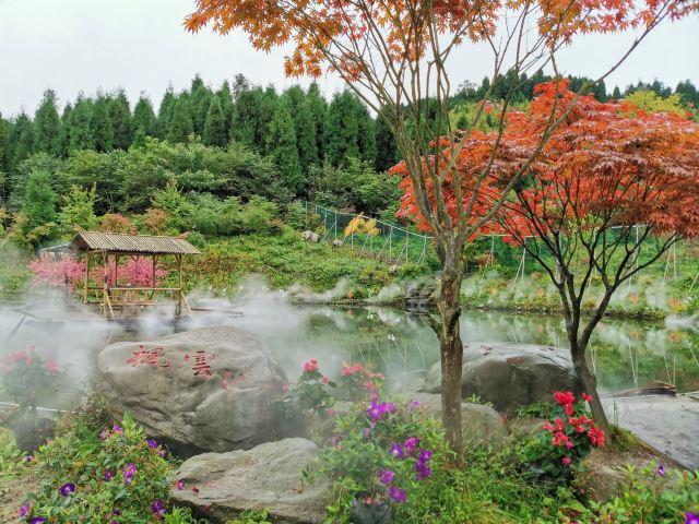 川西红枫岭旅行图片 2