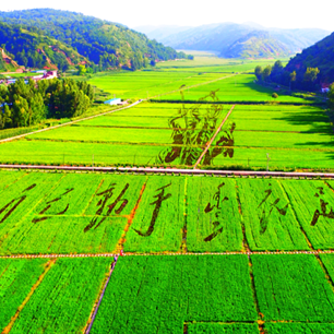 陕西延安宝塔山+枣园革命旧址+杨家岭革命旧址+延安革命纪念馆+壶口瀑布+南泥湾风景区4日3晚私家团