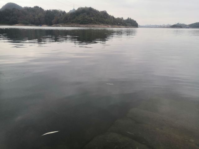 红枫湖旅行图片 4